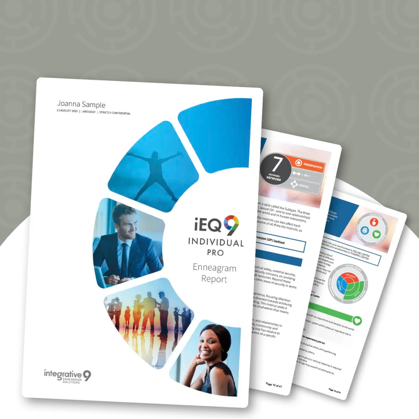 iEQ9 Individual PRO Report