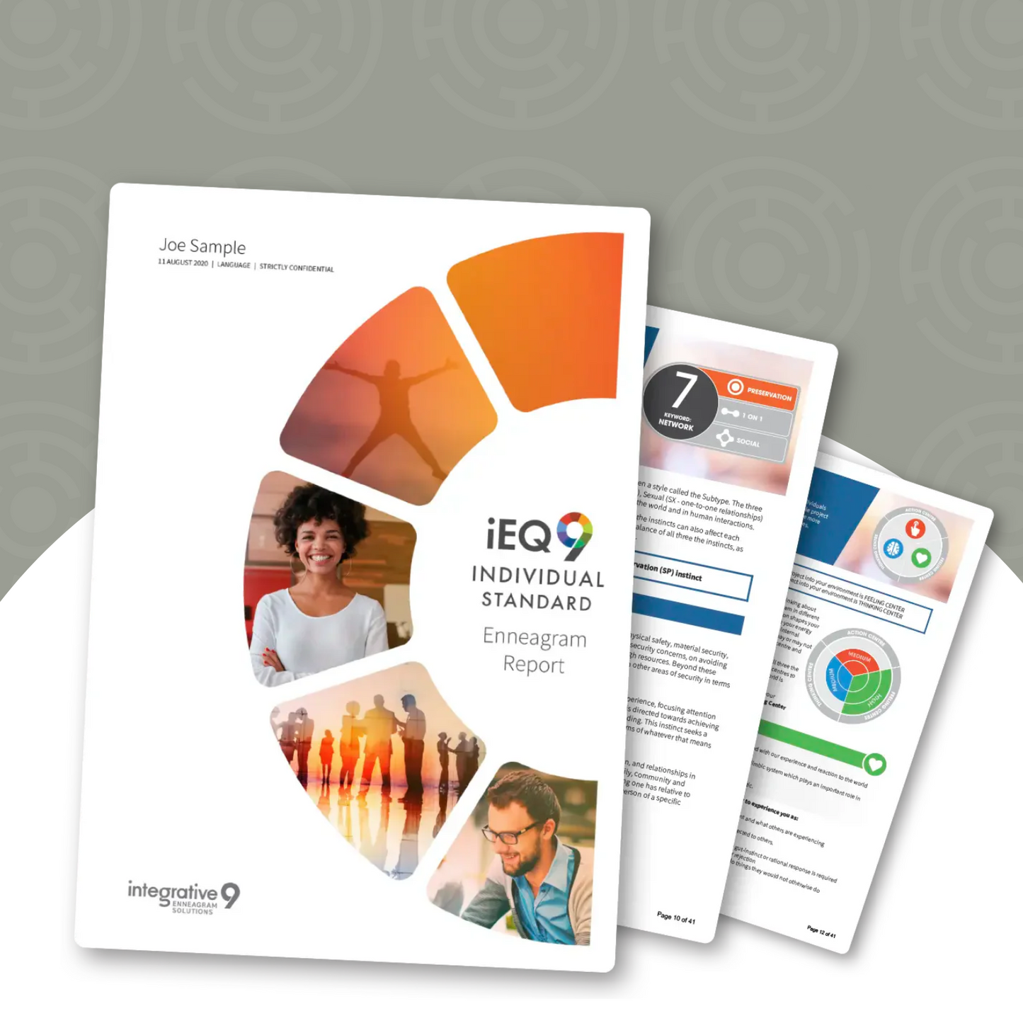 iEQ9 Individual STD Report (22pages)